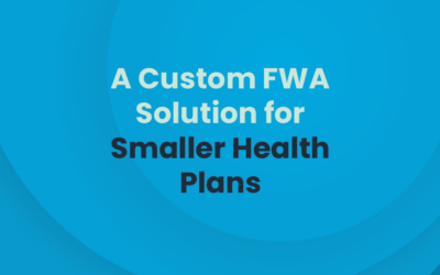 A Custom FWA Solution for Smaller Health Plans